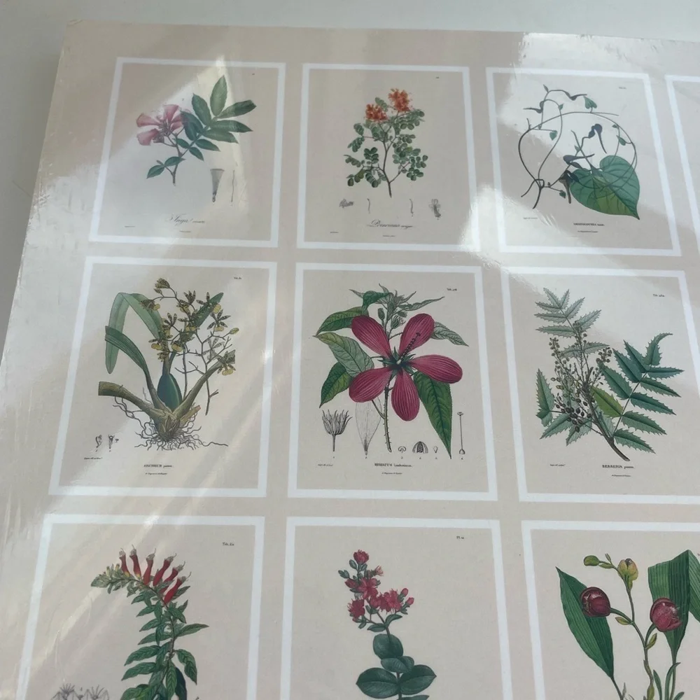NWT Urban Outfitters Alexander von Humboldt Botanical Illustrations 22 Posters